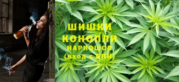 крисы Арсеньев