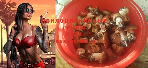 крисы Арсеньев