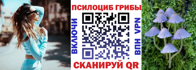 Псилоцибиновые грибы прущие грибы  Таруса 